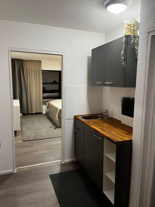 Isaak Appartment Burgnaehe Kussaberg 외부 사진